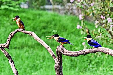 Apex新赛季即将到来，超多改动，每个赛季Apex玩家都是新玩家！